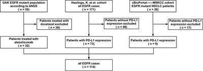 Features of patients with advanced EGFR-mutated non-small cell lung cancer benefiting from immune checkpoint inhibitors